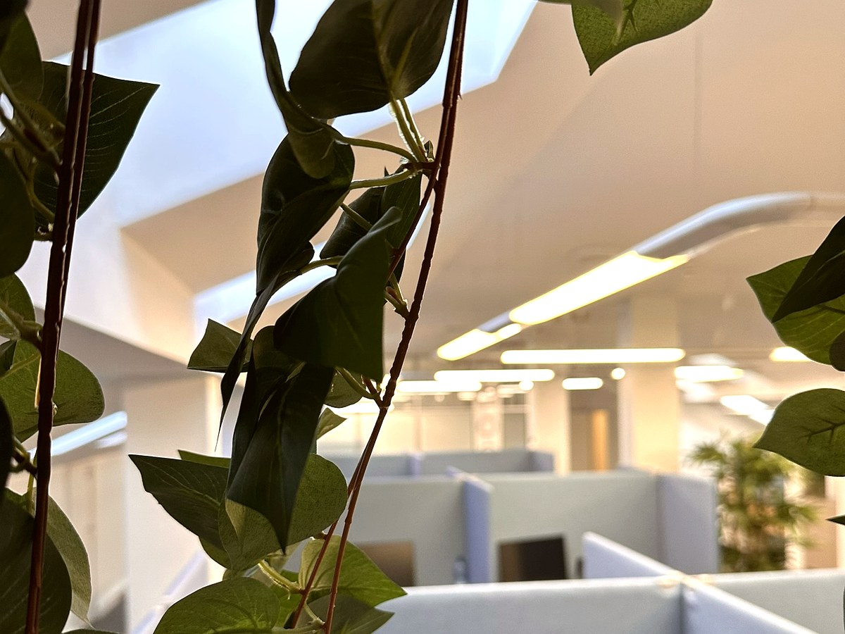 Office viewed through decorative plants
