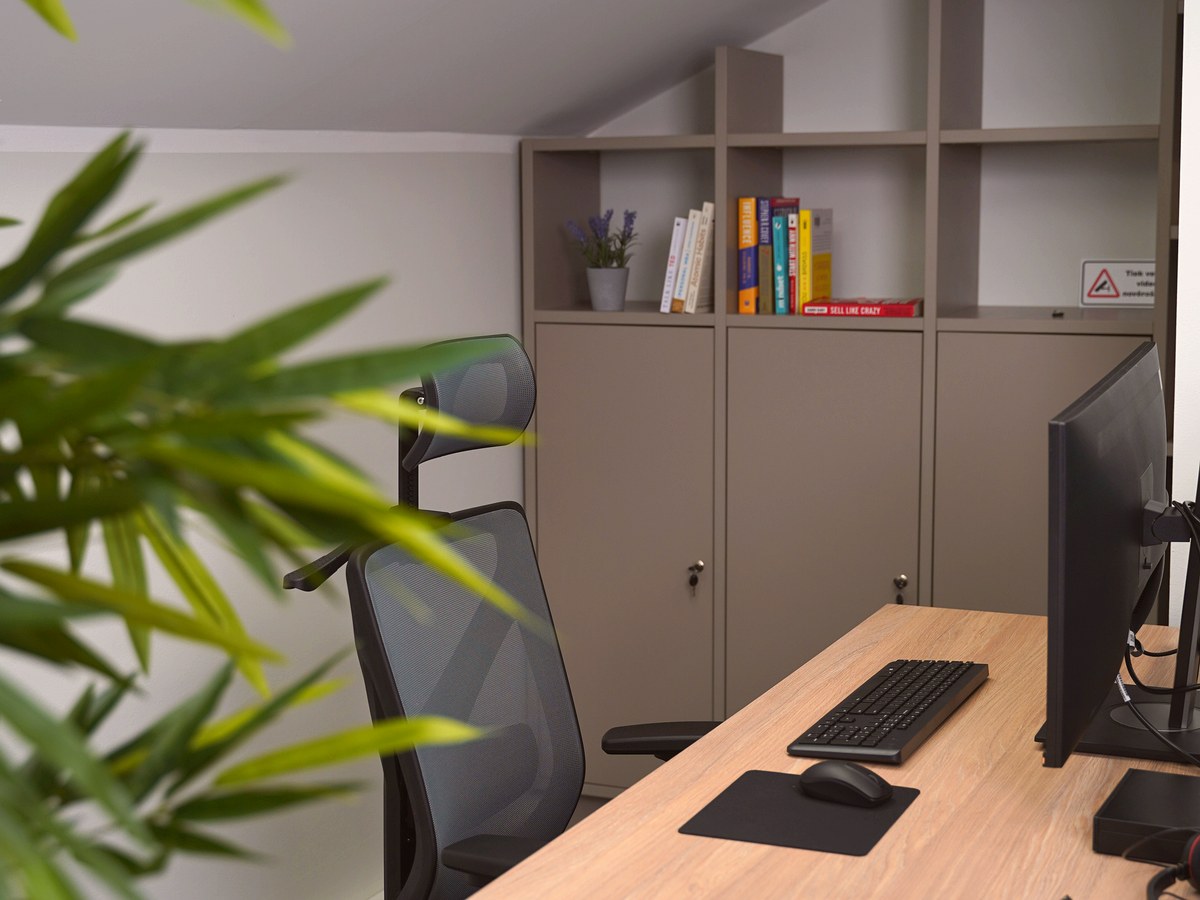Workstation close-up with bookshelf and skylight